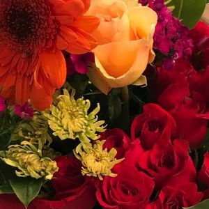 Meet your Posher, Julianne